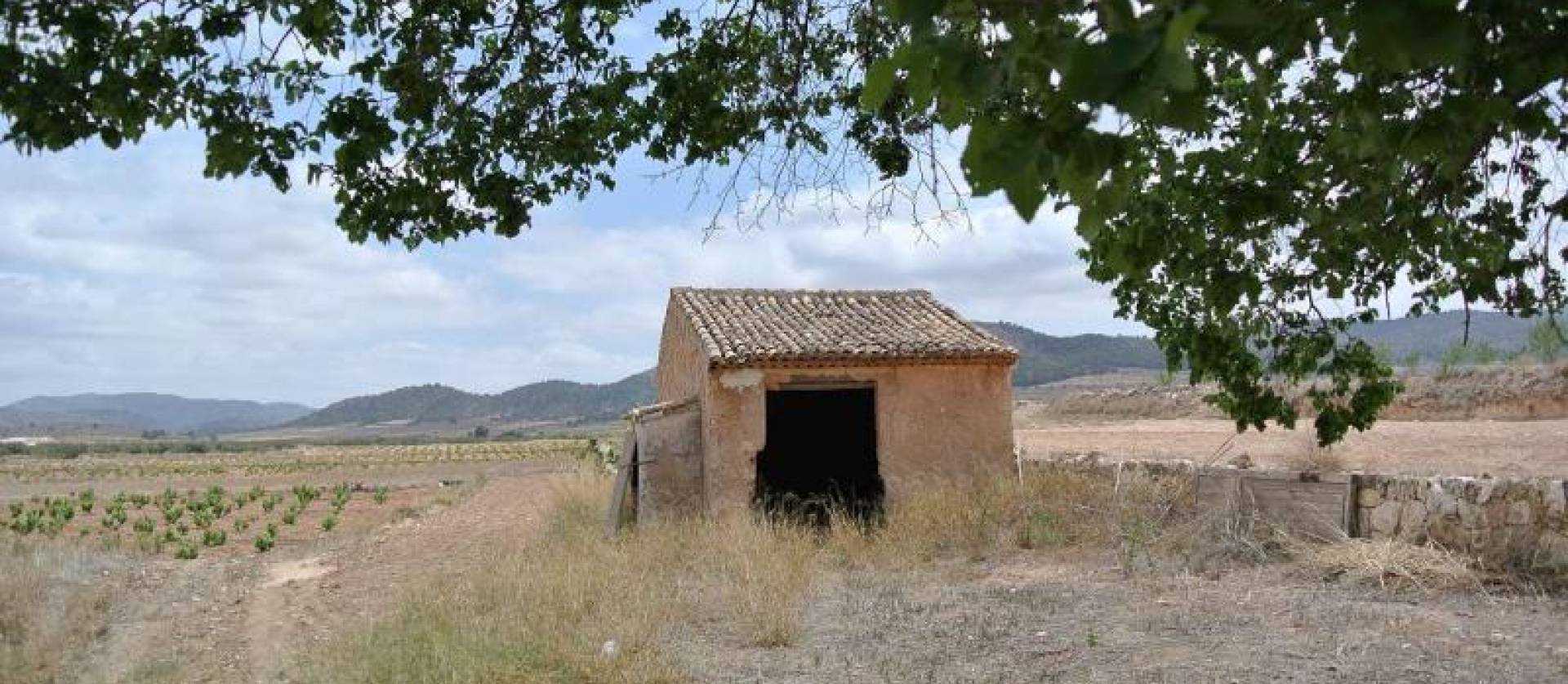 Bestaande woningen - Landelijk huis - Alguena