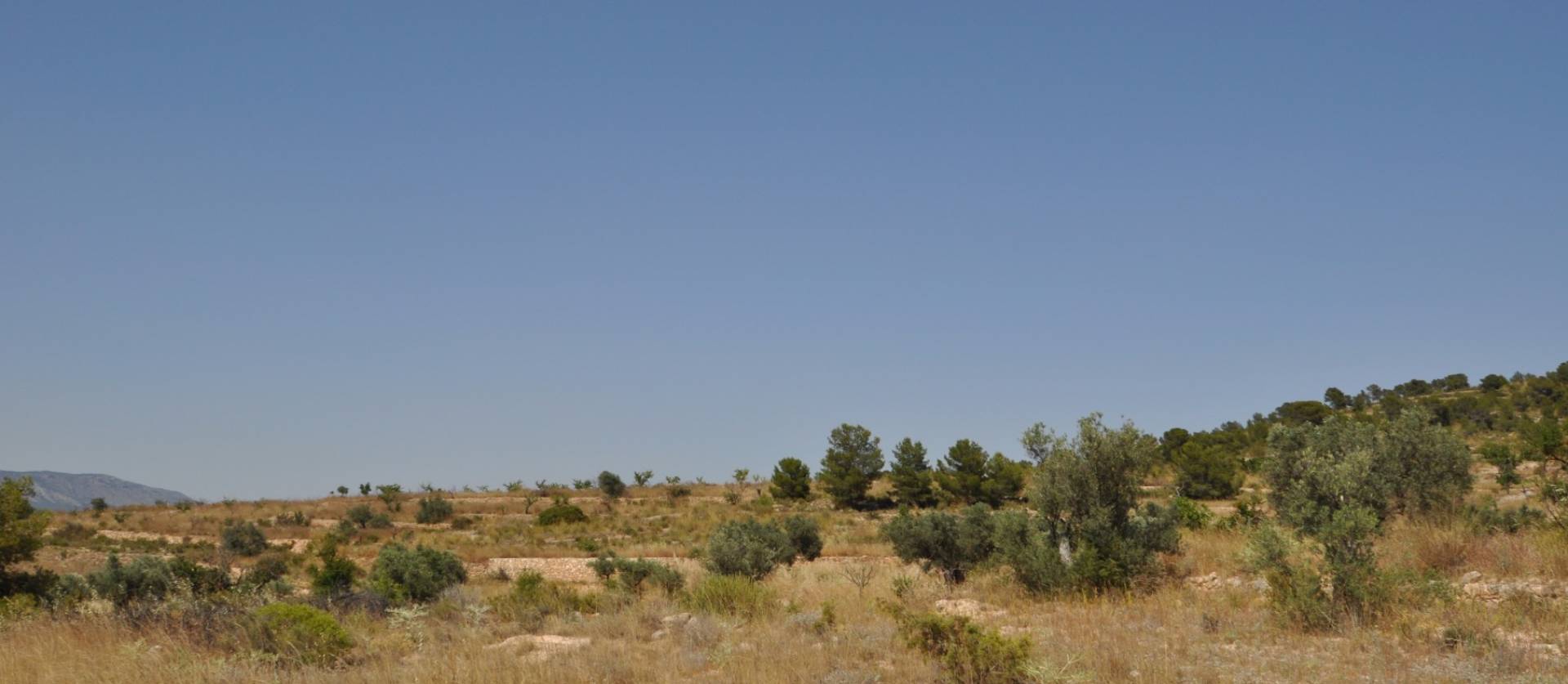 Bestaande woningen - Land - Pinoso