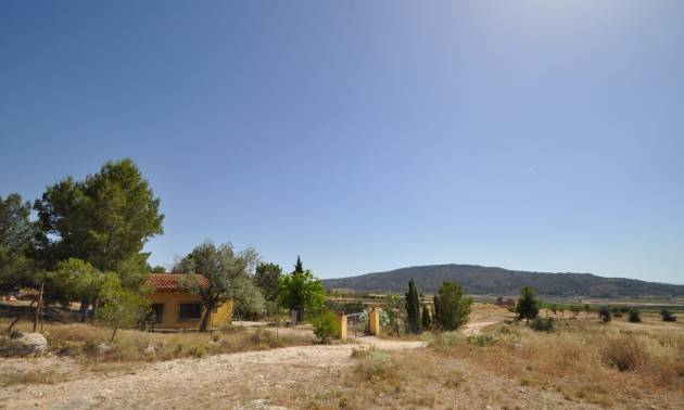 Bestaande woningen - Land - Pinoso