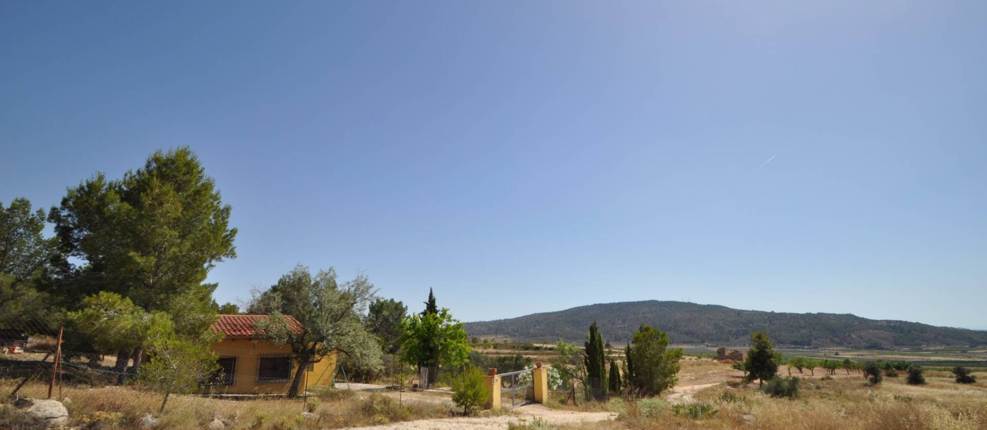 Bestaande woningen - Land - Pinoso