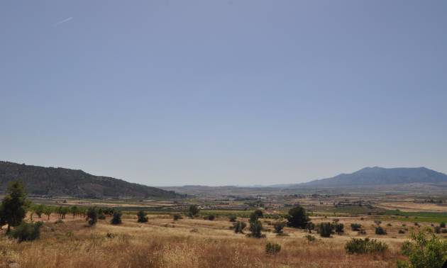 Bestaande woningen - Land - Pinoso