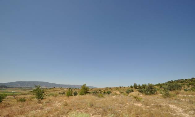 Bestaande woningen - Land - Pinoso