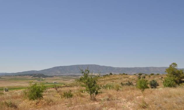 Bestaande woningen - Land - Pinoso