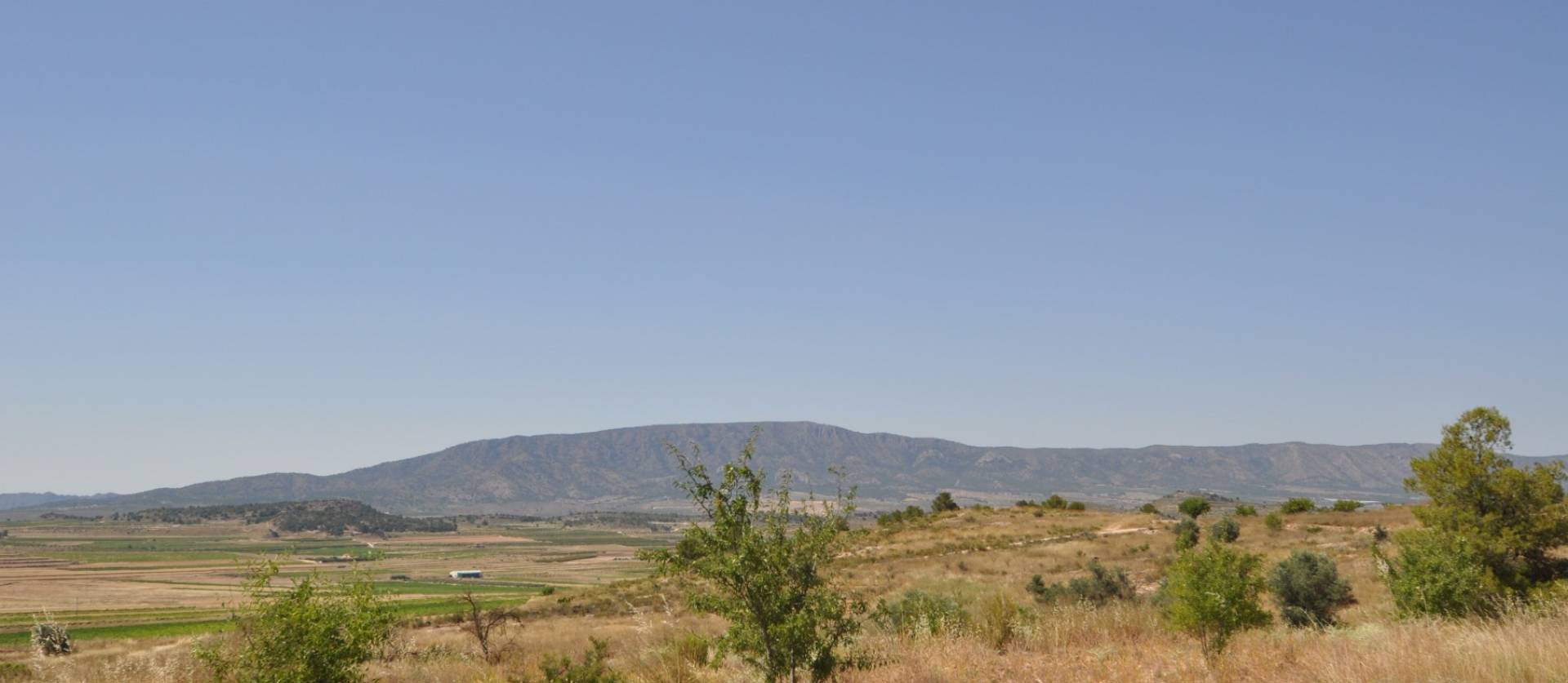 Bestaande woningen - Land - Pinoso