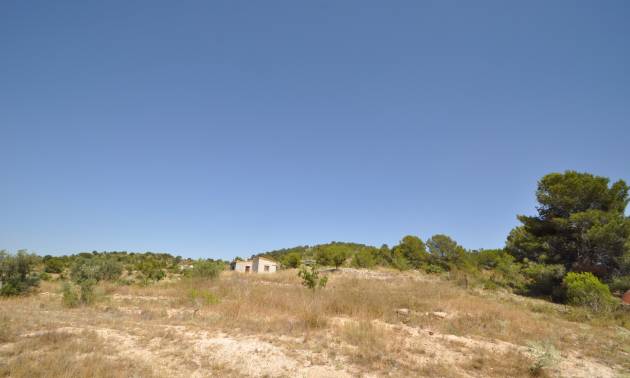 Bestaande woningen - Land - Pinoso