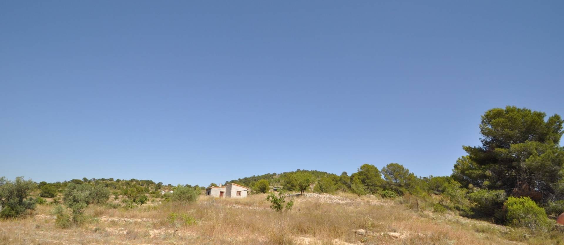 Bestaande woningen - Land - Pinoso