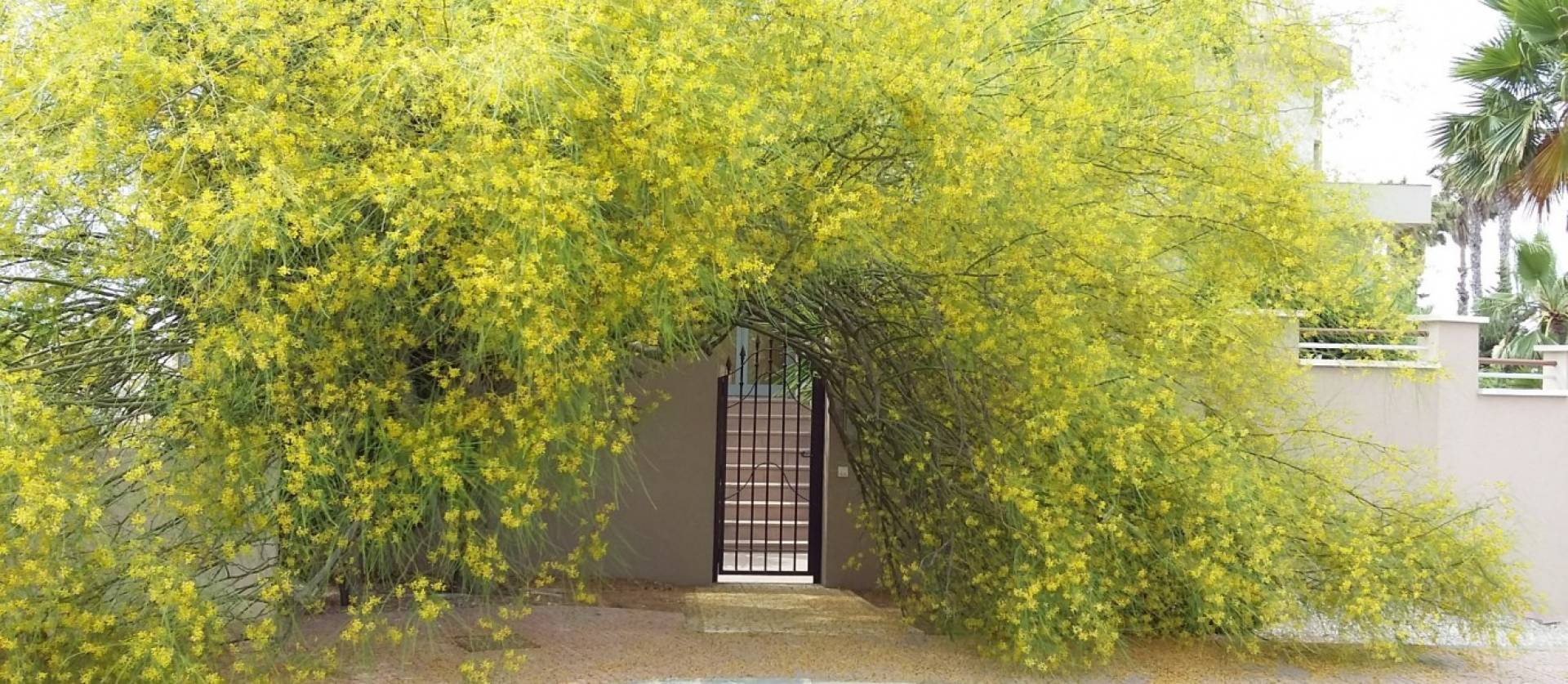 Revente - Villa - Ciudad Quesada