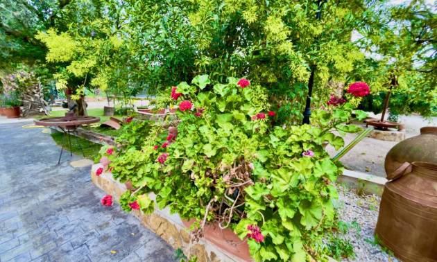 Sale - Country House - Orihuela