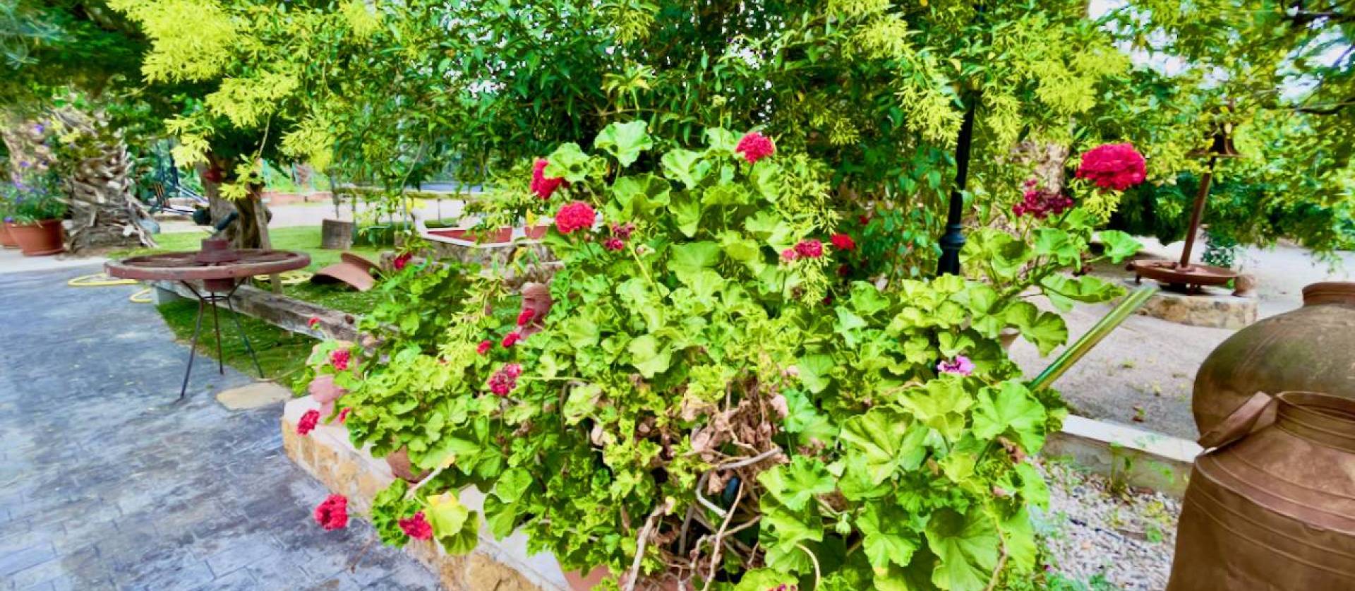 Sale - Country House - Orihuela