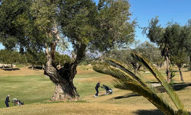 Nieuwbouw projecten - Villa - Los Montesinos