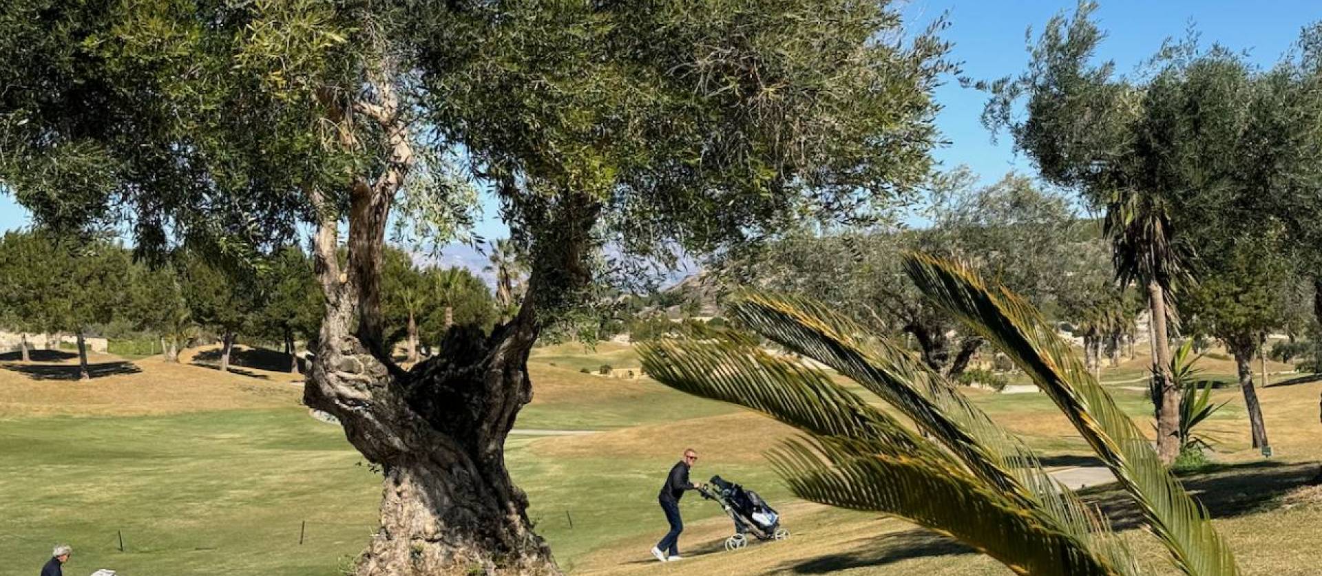 Nieuwbouw projecten - Villa - Los Montesinos