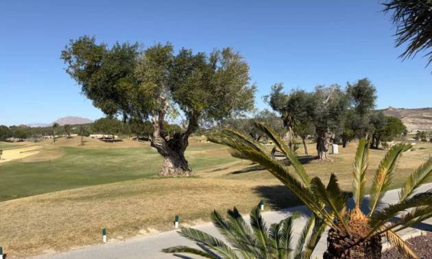 Nieuwbouw projecten - Villa - Los Montesinos