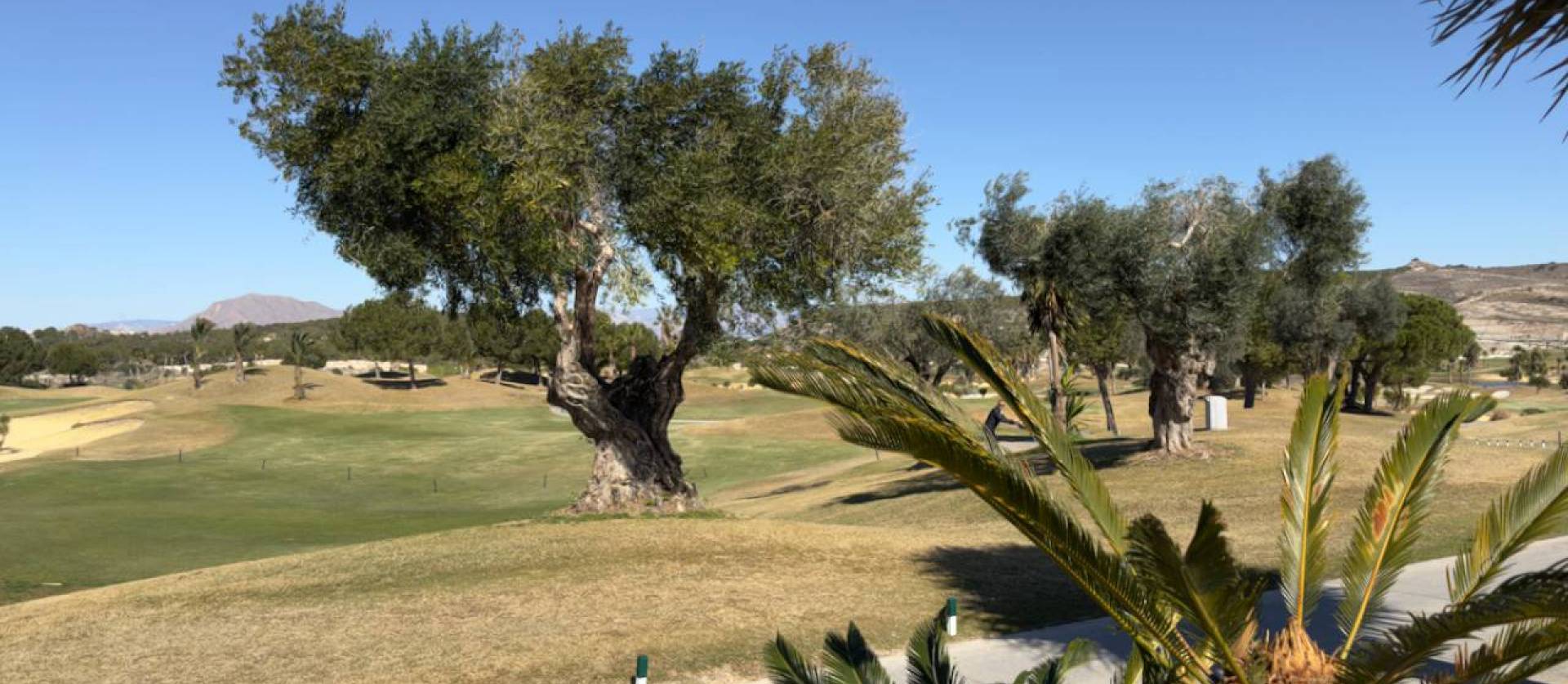 Nieuwbouw projecten - Villa - Los Montesinos