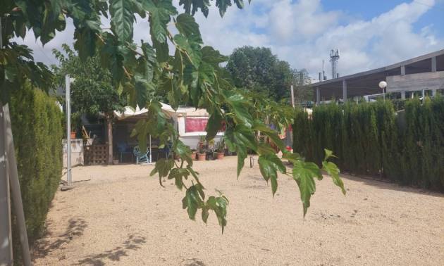 Bestaande woningen - Commercieel - Benidorm