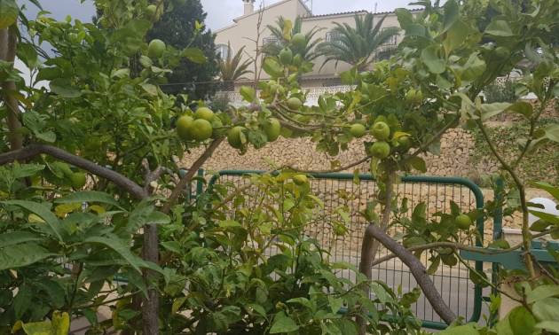 Venta - Villa - Alfaz del Pi