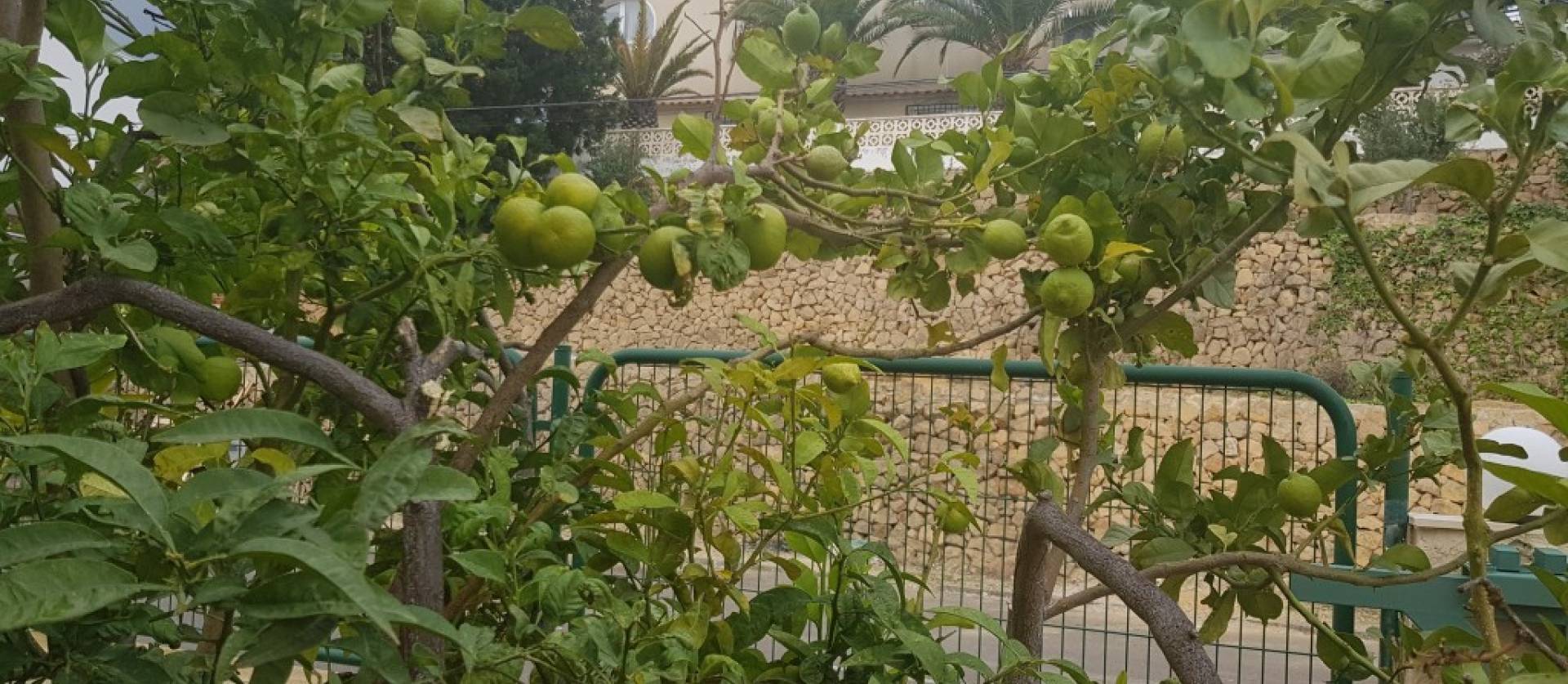 Venta - Villa - Alfaz del Pi