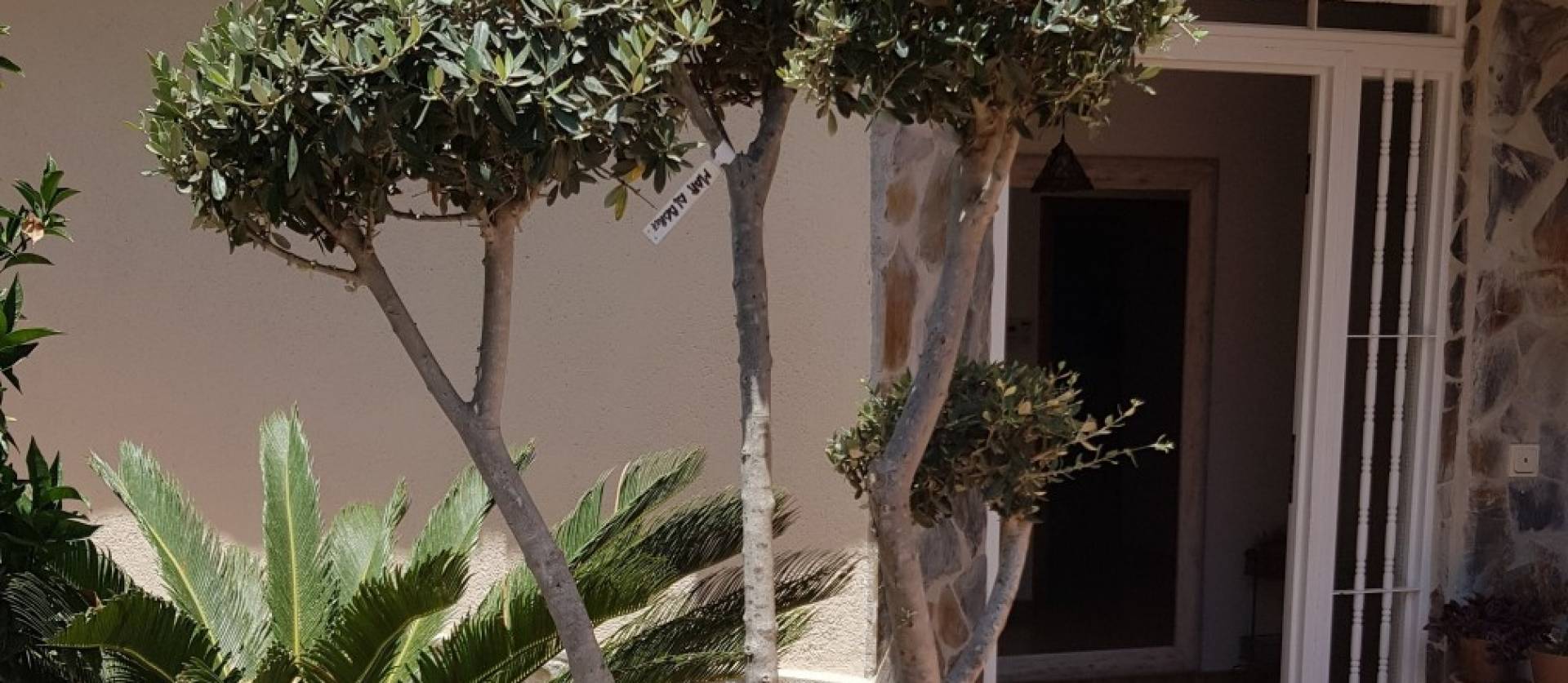 Venta - Villa - Alfaz del Pi