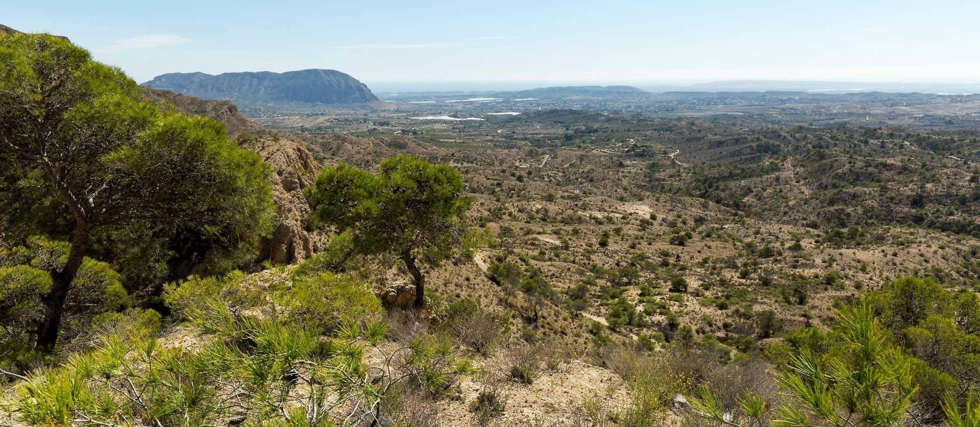 Nueva construcción  - Villa - Aspe