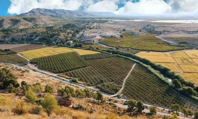 New Build - Villa - Calasparra - Coto Riñales