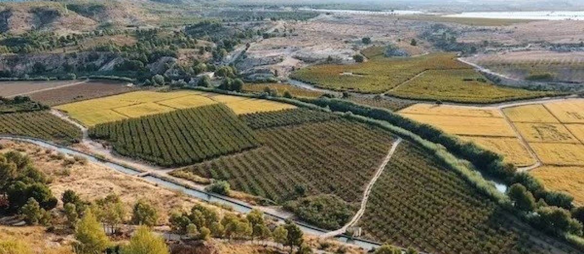 New Build - Villa - Calasparra - Coto Riñales