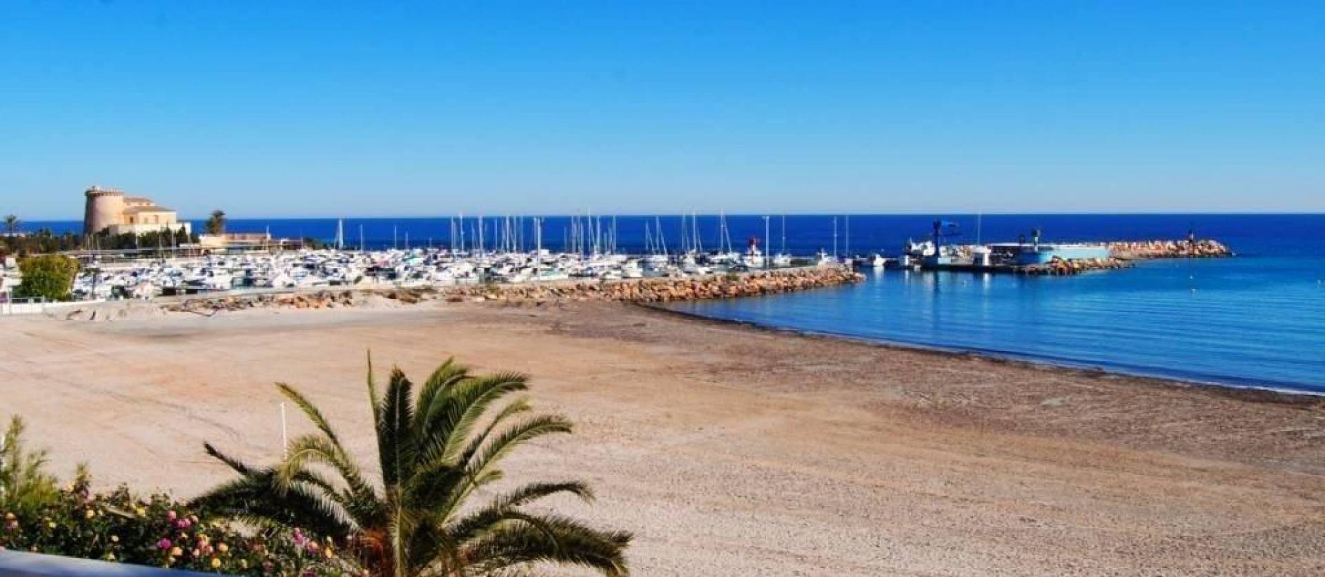 Nouvelle construction - Maison de ville - Pilar de la Horadada