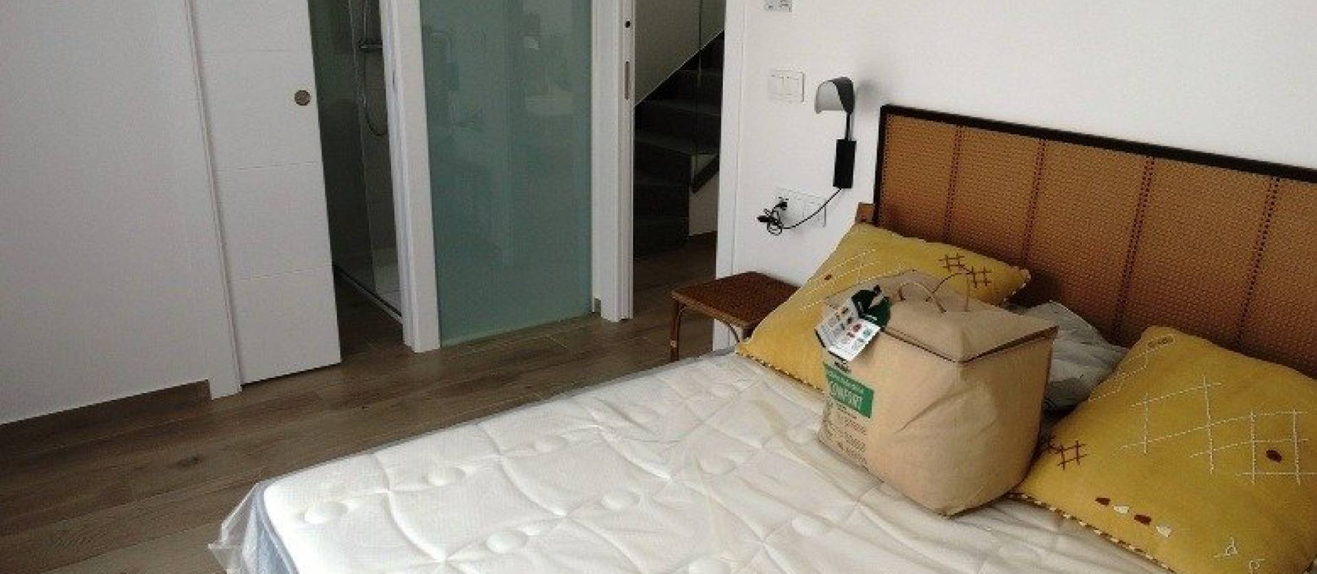 Nouvelle construction - Villa - Pilar de la Horadada