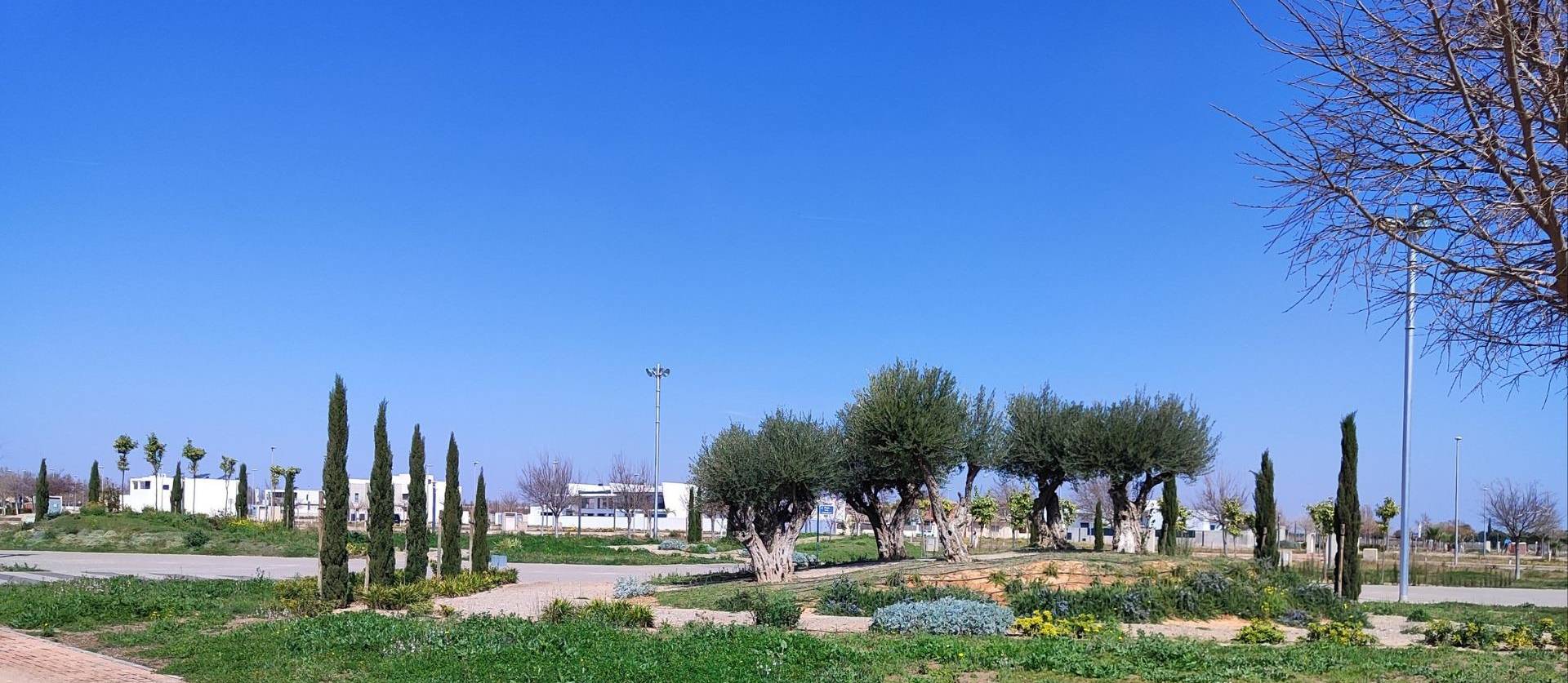 Nouvelle construction - Apartment - Torre Pacheco