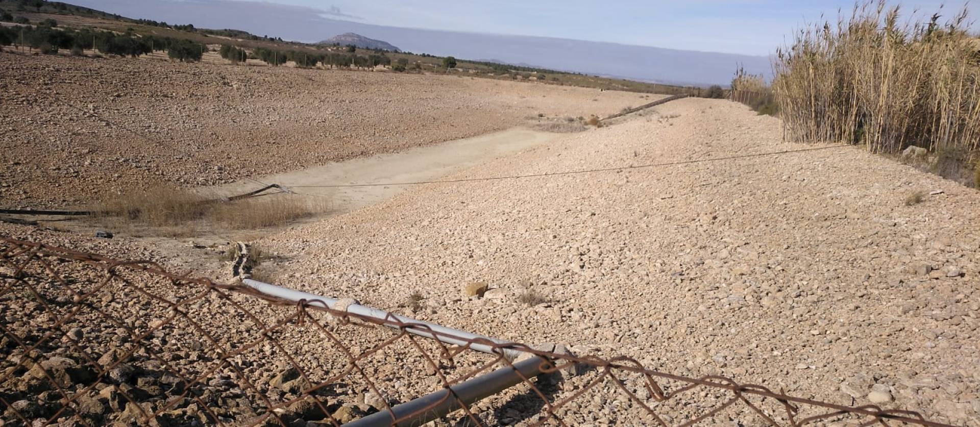 Sale - Commercial - Yecla