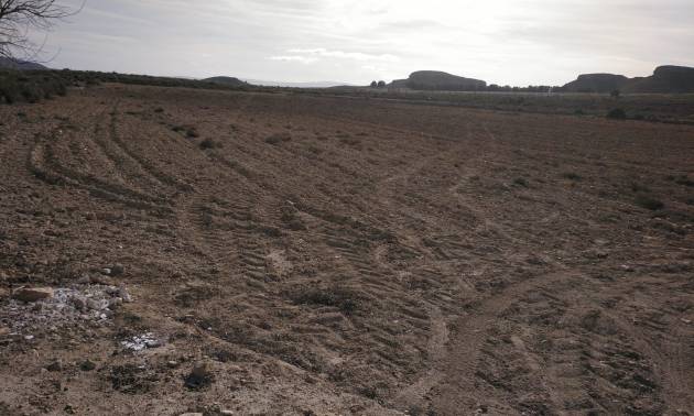 Sale - Commercial - Yecla