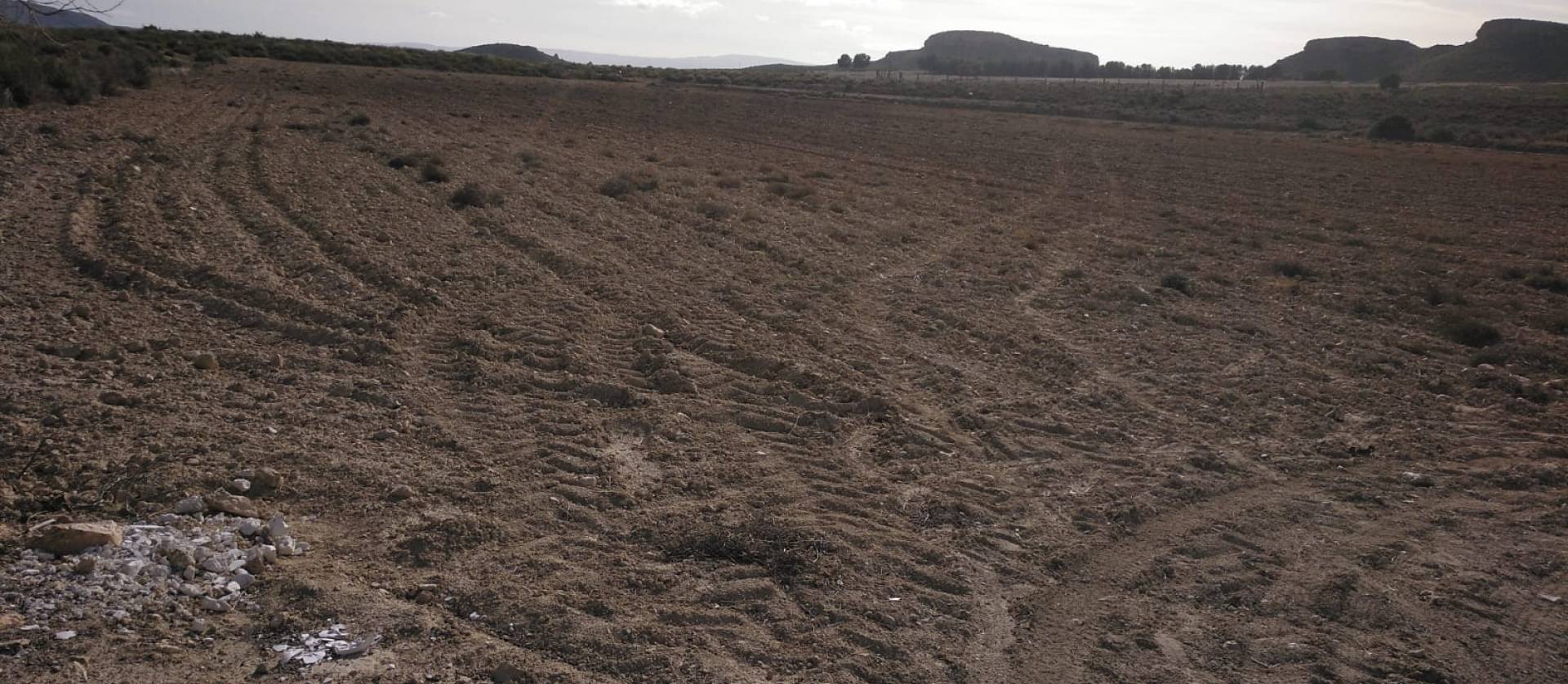 Sale - Commercial - Yecla