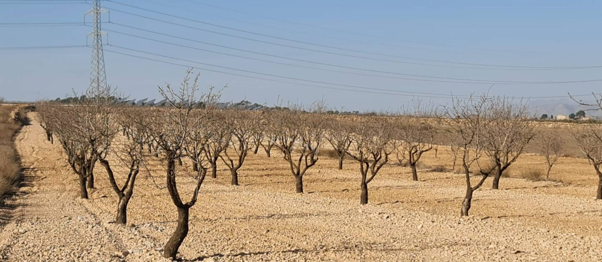 Revente - Land - Jumilla