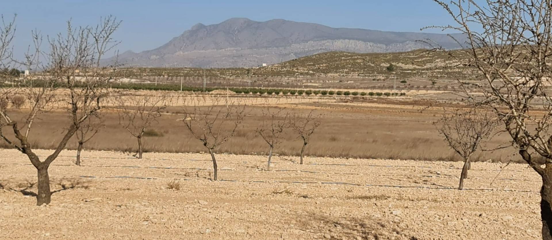 Revente - Land - Jumilla