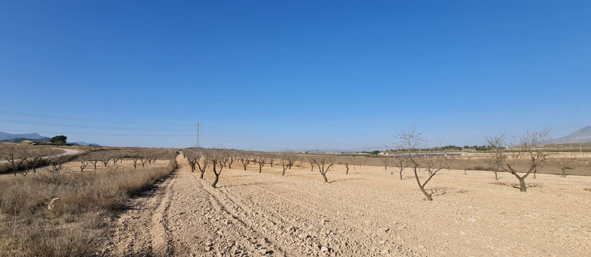Revente - Land - Jumilla