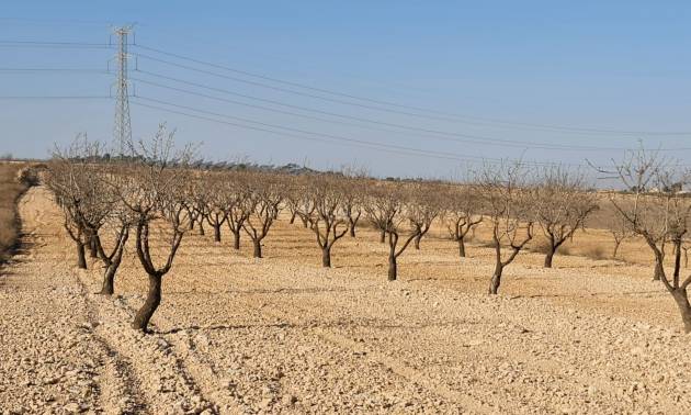 Revente - Land - Jumilla
