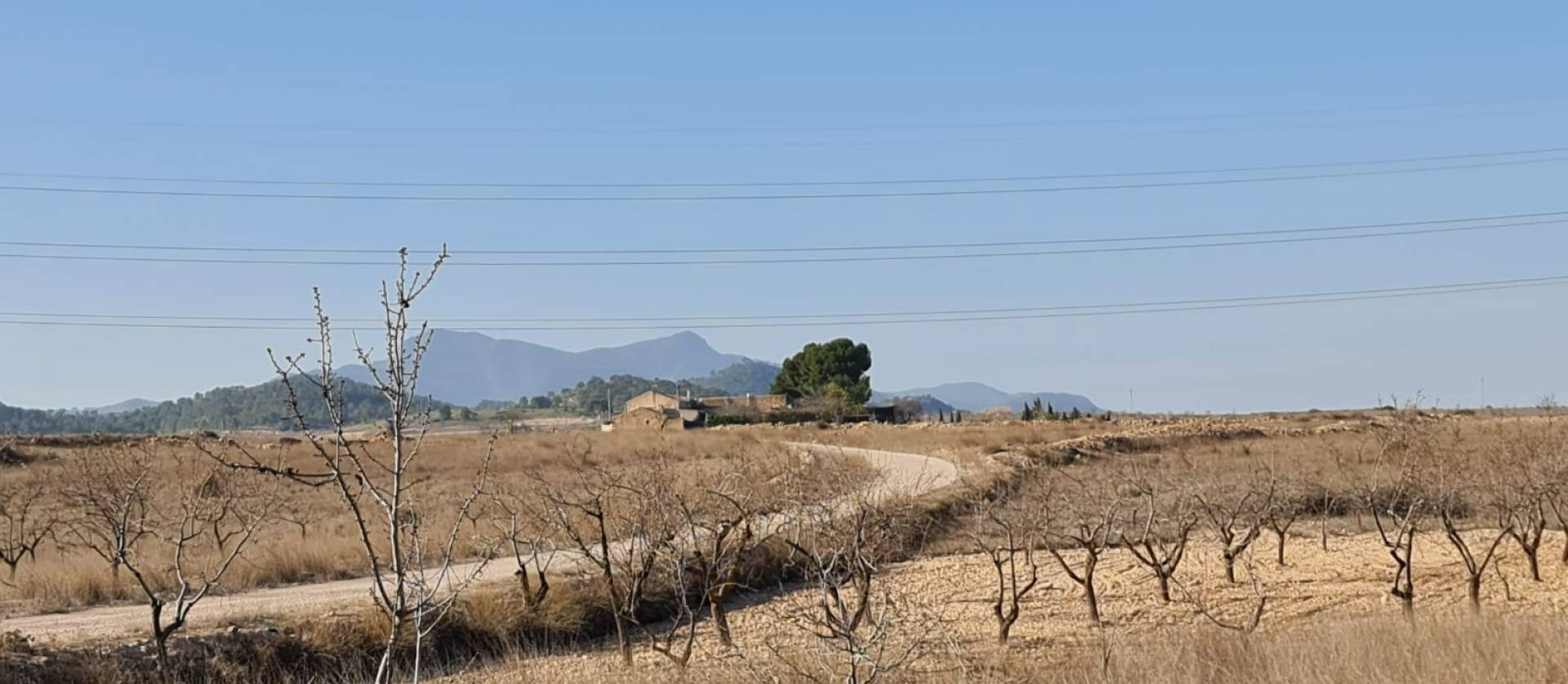 Revente - Land - Jumilla
