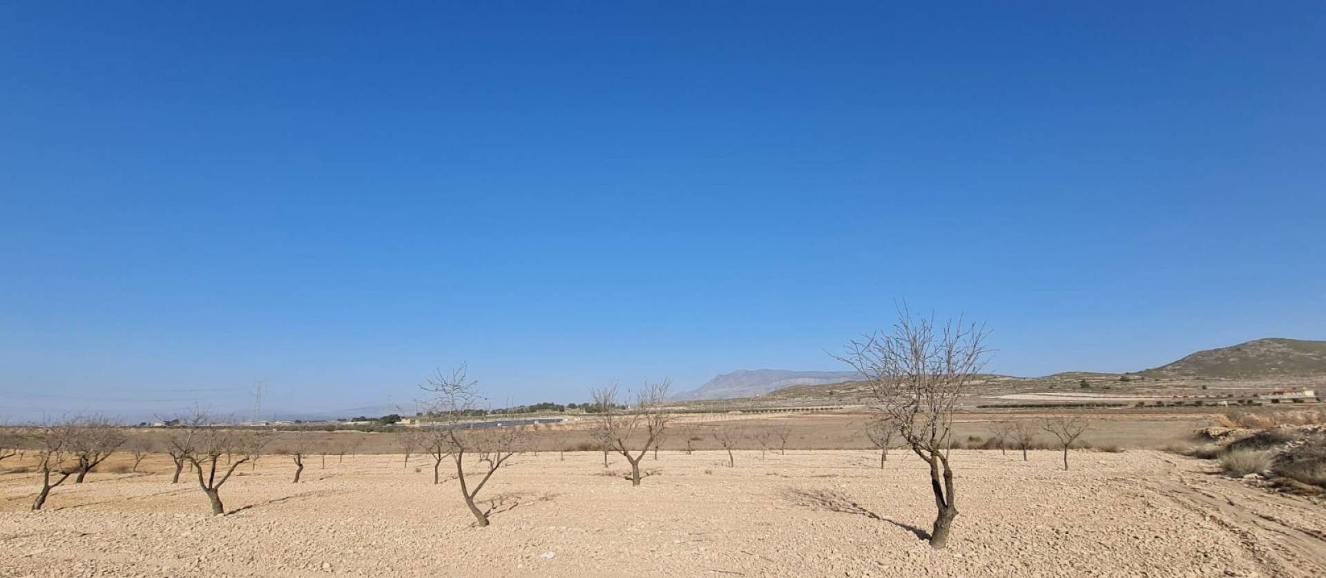 Revente - Land - Jumilla