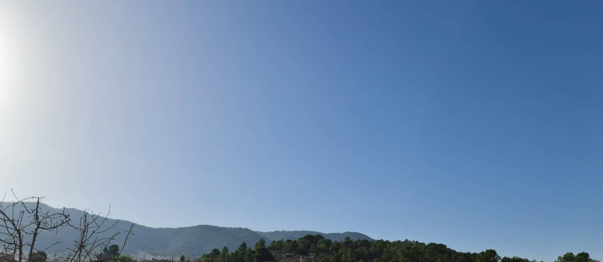 Revente - Land - Jumilla