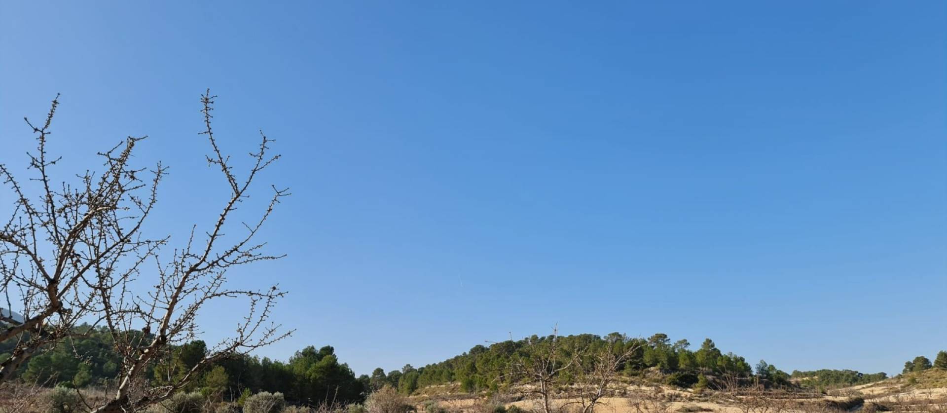 Revente - Land - Jumilla