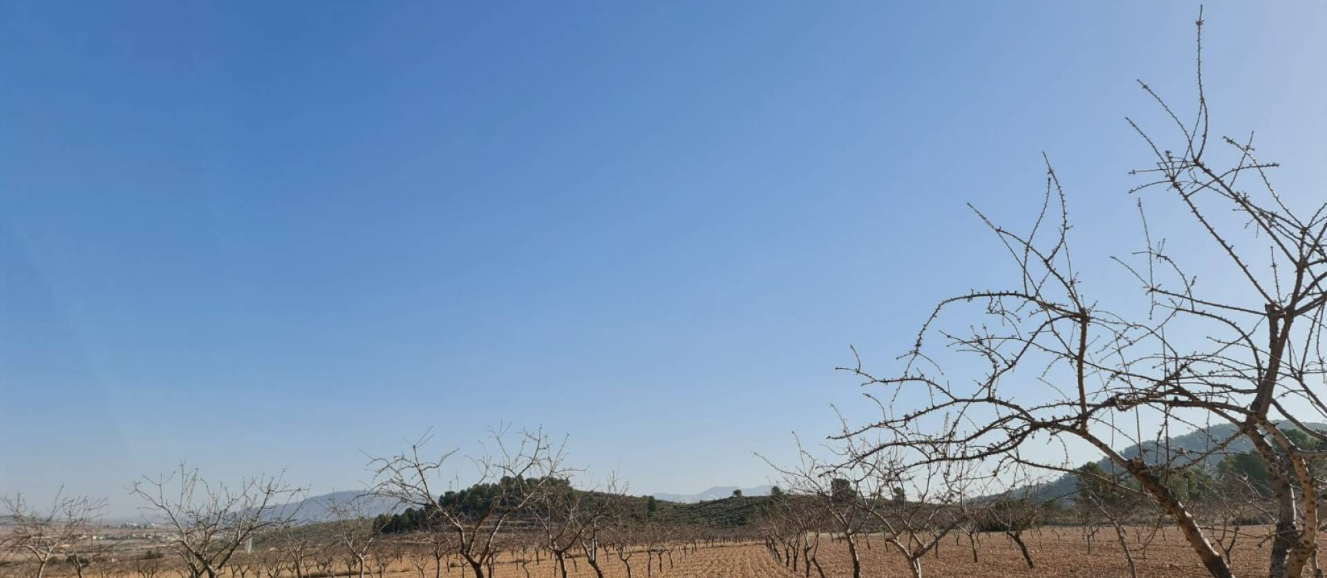 Revente - Land - Jumilla