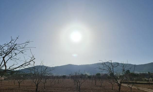 Revente - Land - Jumilla