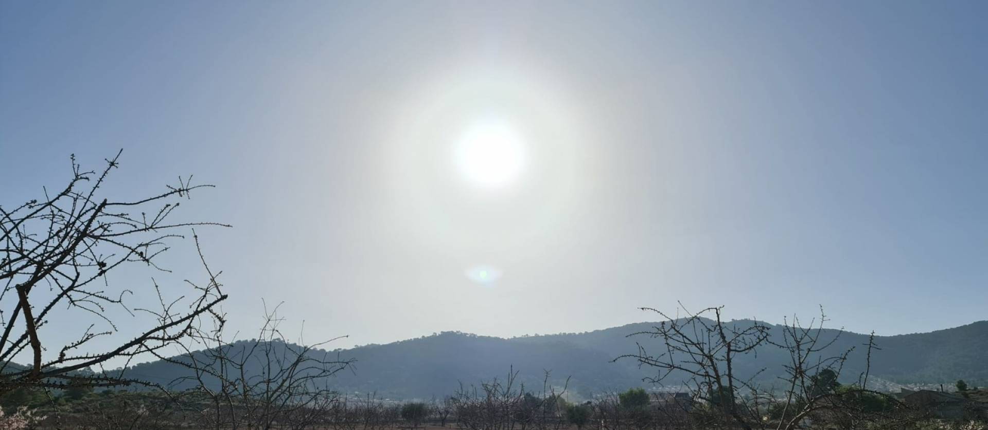 Revente - Land - Jumilla