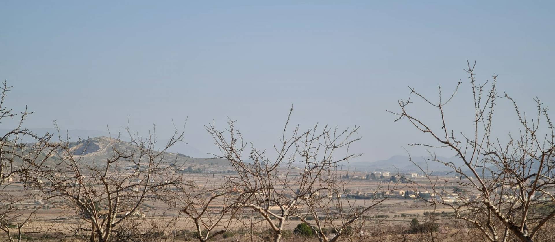 Revente - Land - Jumilla