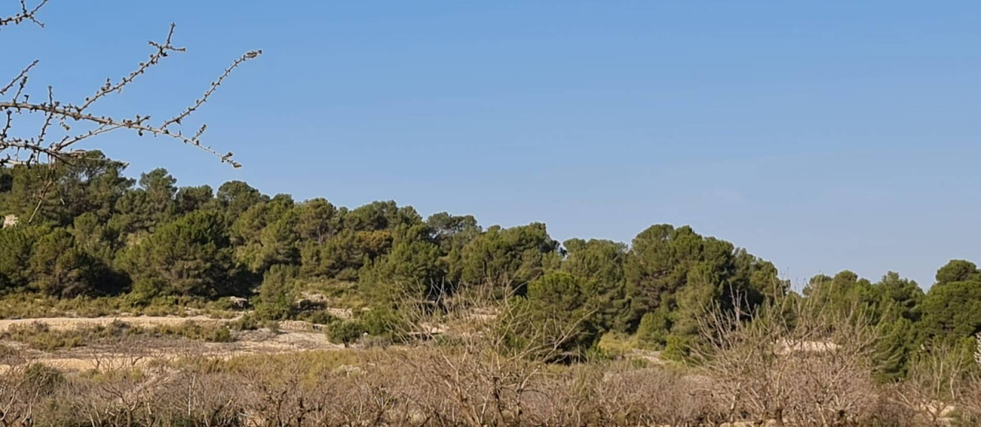 Revente - Land - Jumilla