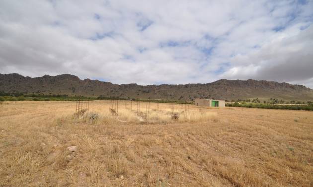 Sale - Land - Yecla