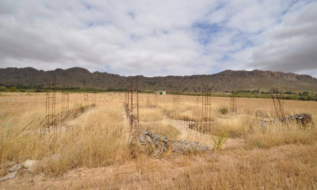 Sale - Land - Yecla