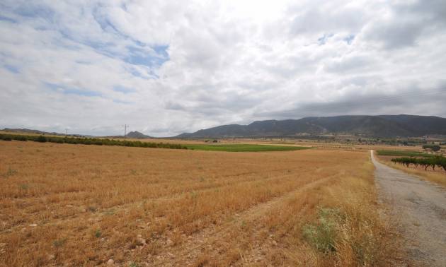 Sale - Land - Yecla