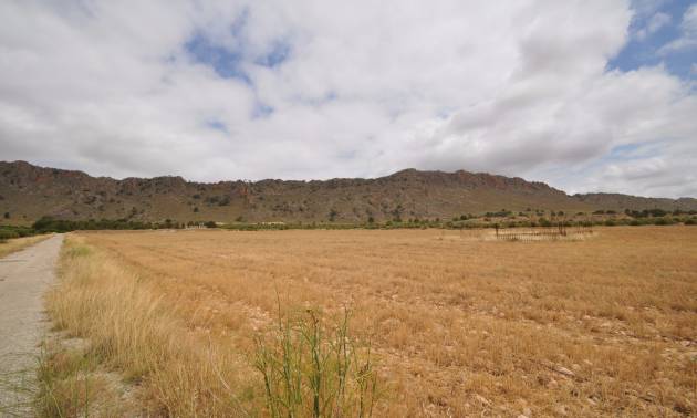 Sale - Land - Yecla