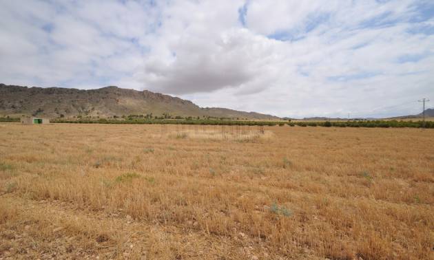 Sale - Land - Yecla