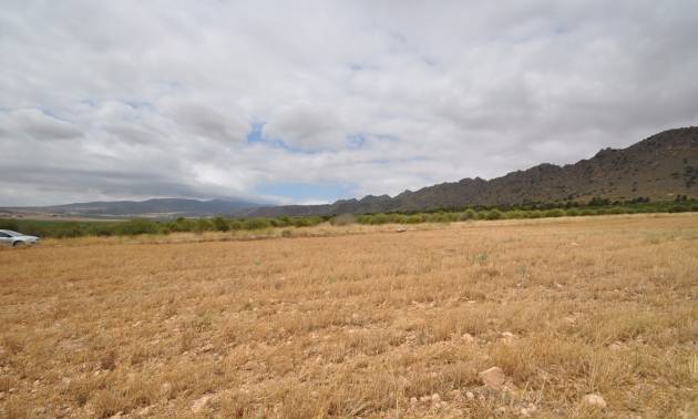 Sale - Land - Yecla