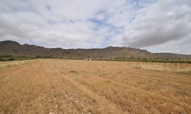 Sale - Land - Yecla